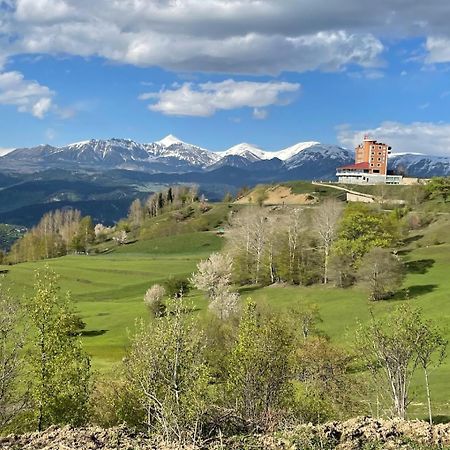 Black Forest Hotel Savsat Esterno foto