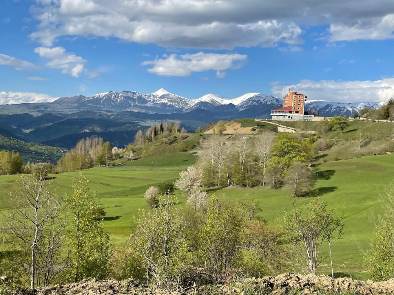 Black Forest Hotel Savsat Esterno foto