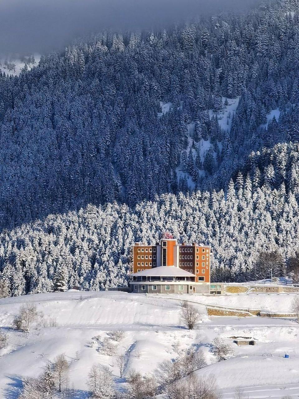 Black Forest Hotel Savsat Esterno foto
