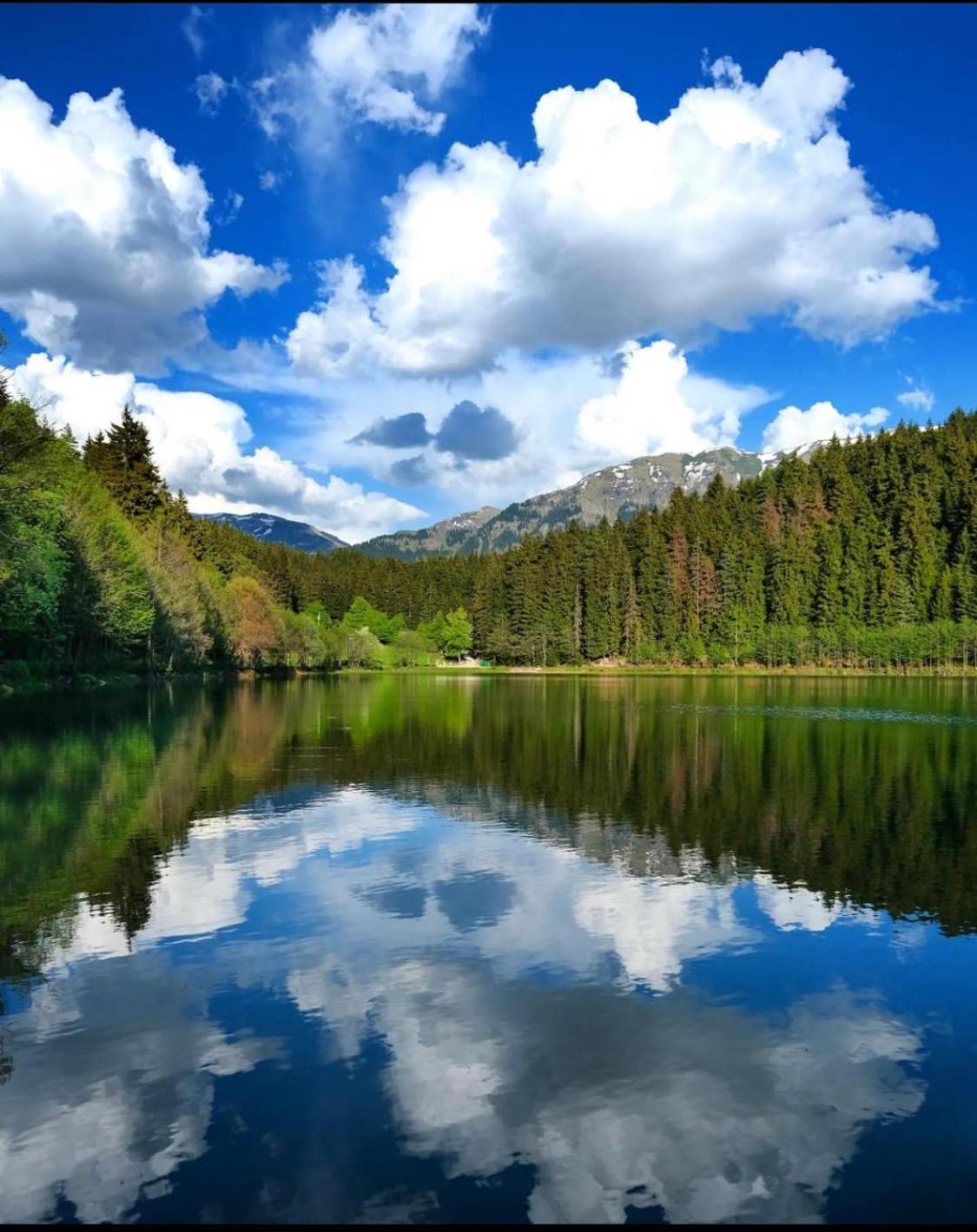 Black Forest Hotel Savsat Esterno foto