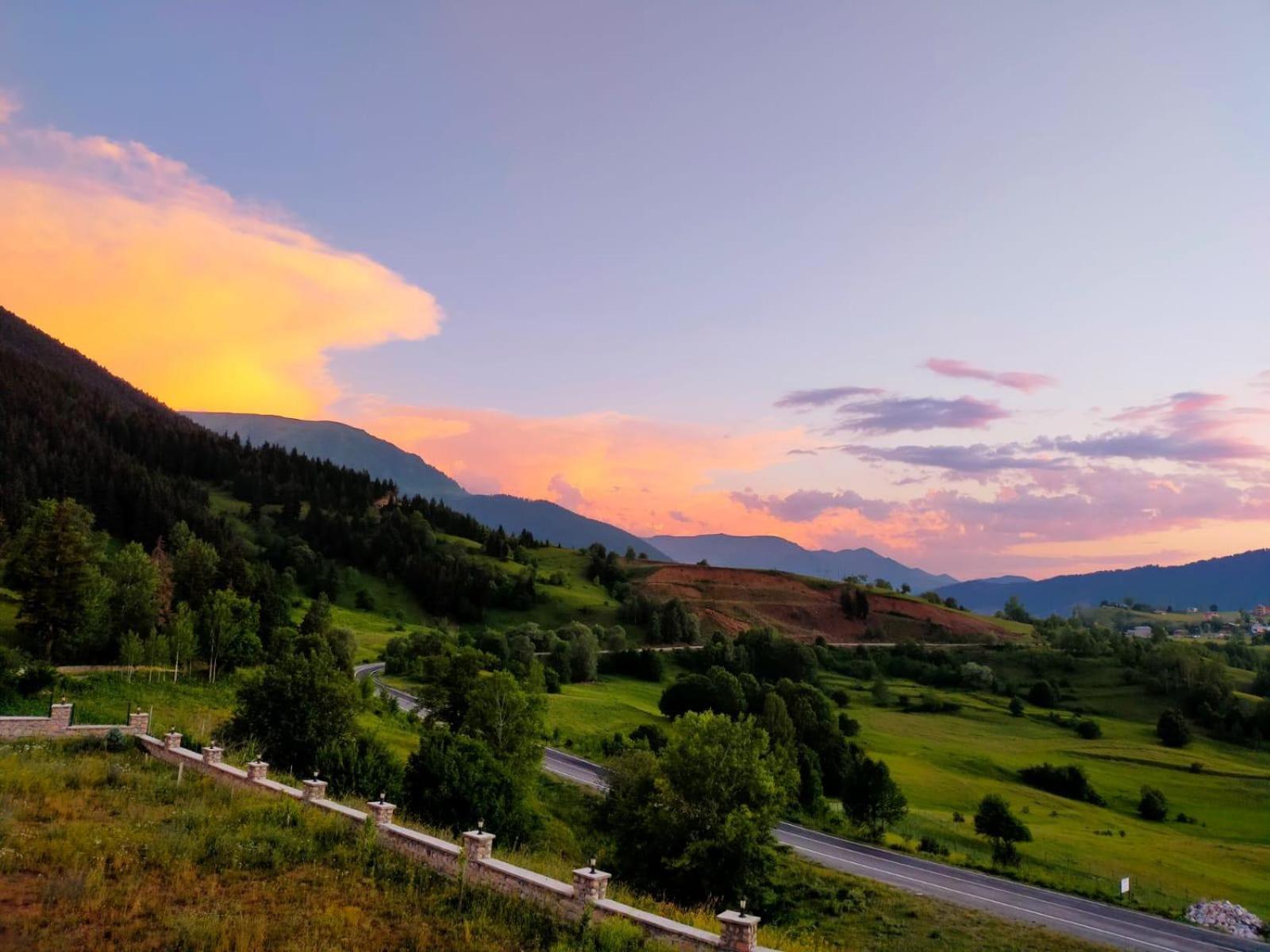 Black Forest Hotel Savsat Esterno foto