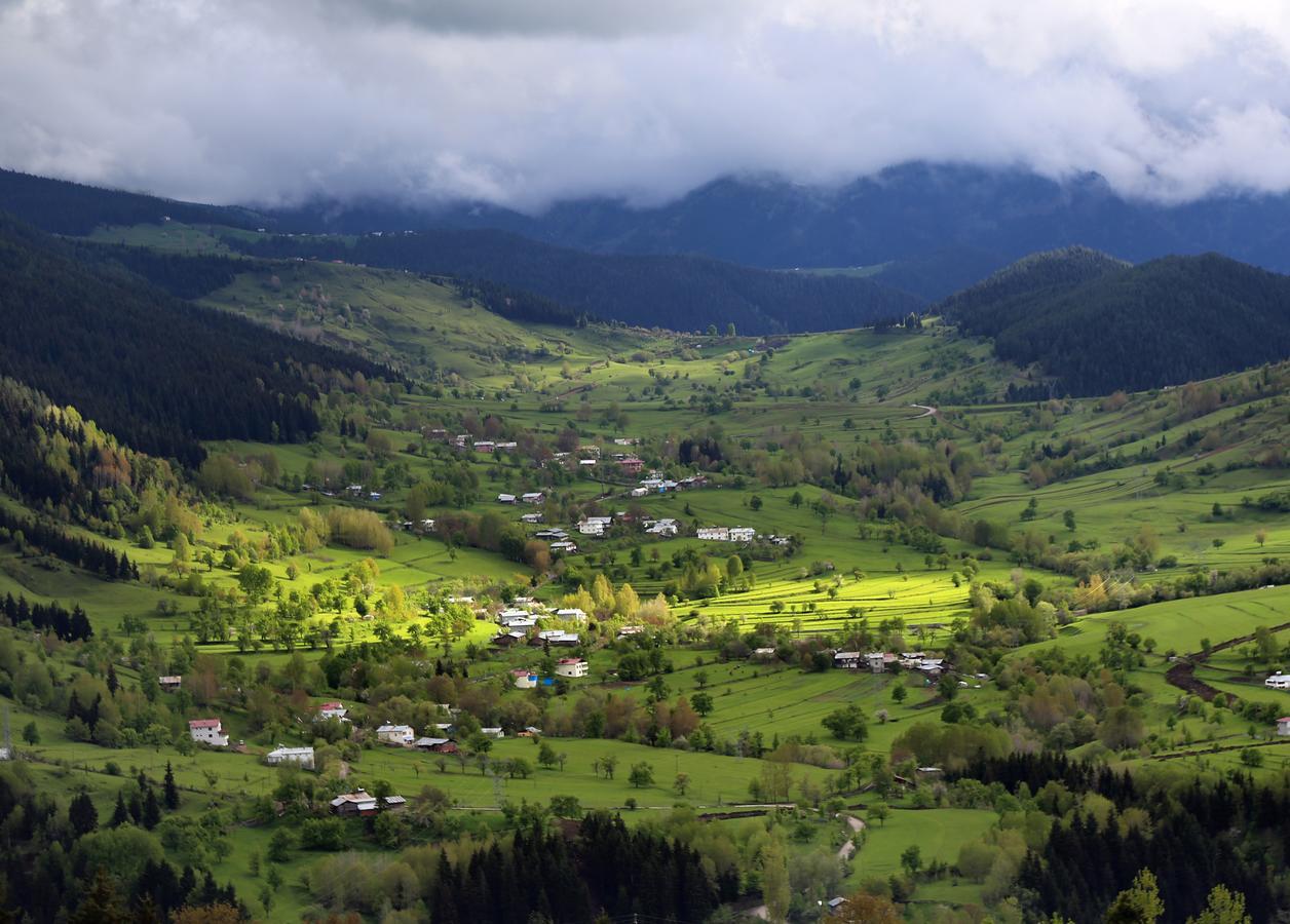 Black Forest Hotel Savsat Esterno foto